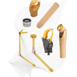 Upper Limb Components