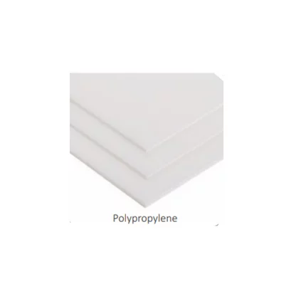 1 Polypropylene Plate - Image 1