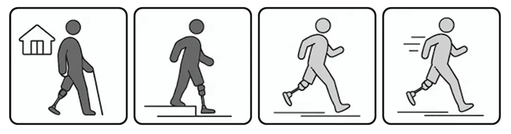 Activity Level K1-K2